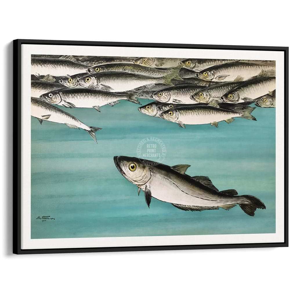 Herrings 1931 | Sweden A3 297 X 420Mm 11.7 16.5 Inches / Canvas Floating Frame - Black Timber Print