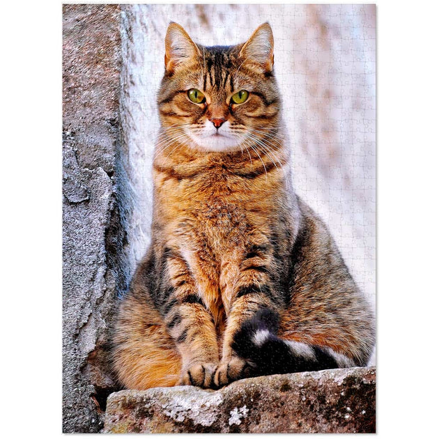 http://retroprintmerchants.com.au/cdn/shop/files/jigsaw-puzzle-french-cats-do-get-fat-705_1200x630.jpg?v=1701318376