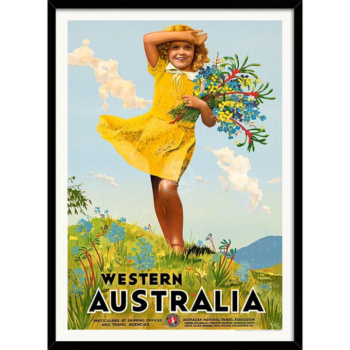 Western Australia Wildflowers | A3 297 X 420Mm 11.7 16.5 Inches / Framed Print: Black Timber Print