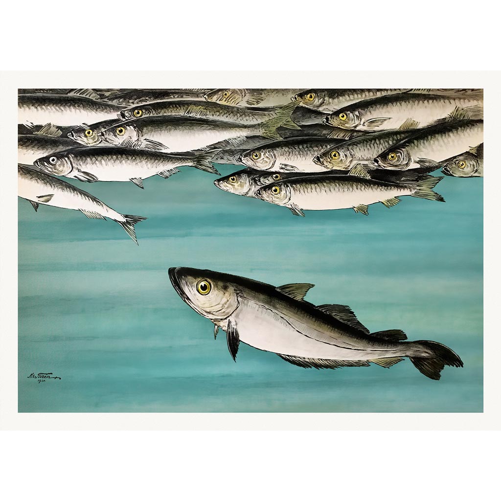 Herrings 1931 | Sweden A3 297 X 420Mm 11.7 16.5 Inches / Unframed Print Art