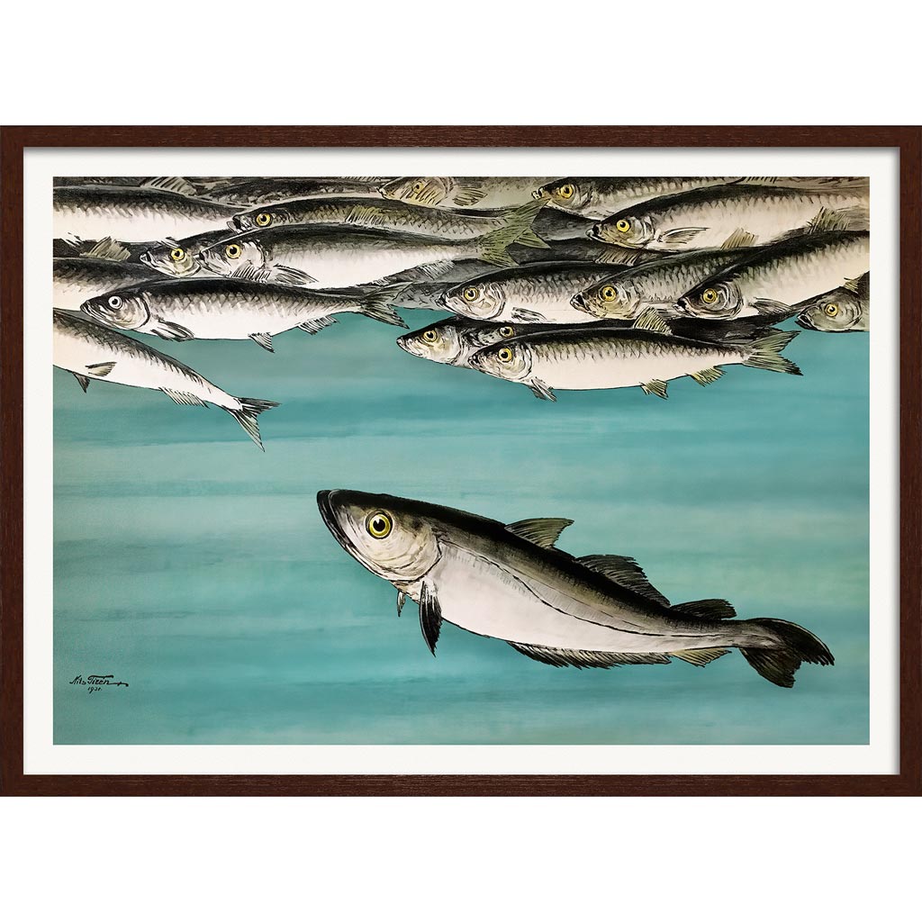 Herrings 1931 | Sweden A3 297 X 420Mm 11.7 16.5 Inches / Framed Print - Dark Oak Timber Art