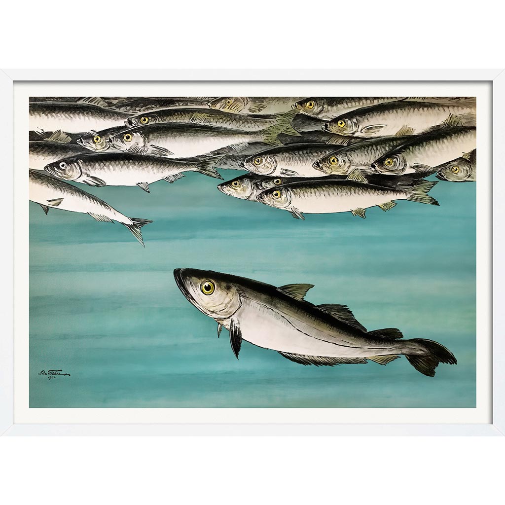 Herrings 1931 | Sweden A3 297 X 420Mm 11.7 16.5 Inches / Framed Print - White Timber Art