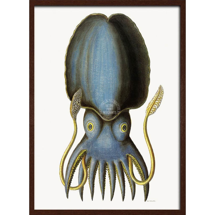 Blue Octopus | Germany A3 297 X 420Mm 11.7 16.5 Inches / Framed Print - Dark Oak Timber Art