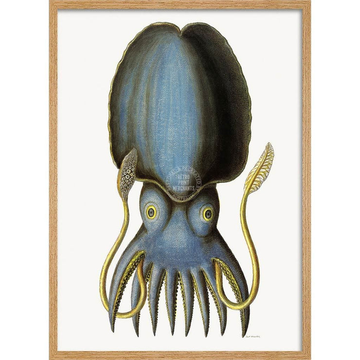 Blue Octopus | Germany A3 297 X 420Mm 11.7 16.5 Inches / Framed Print - Natural Oak Timber Art