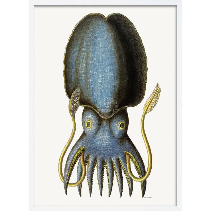 Blue Octopus | Germany A3 297 X 420Mm 11.7 16.5 Inches / Framed Print - White Timber Art