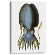 Blue Octopus | Germany A3 297 X 420Mm 11.7 16.5 Inches / Stretched Canvas Print Art