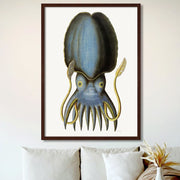 Blue Octopus | Germany Print Art