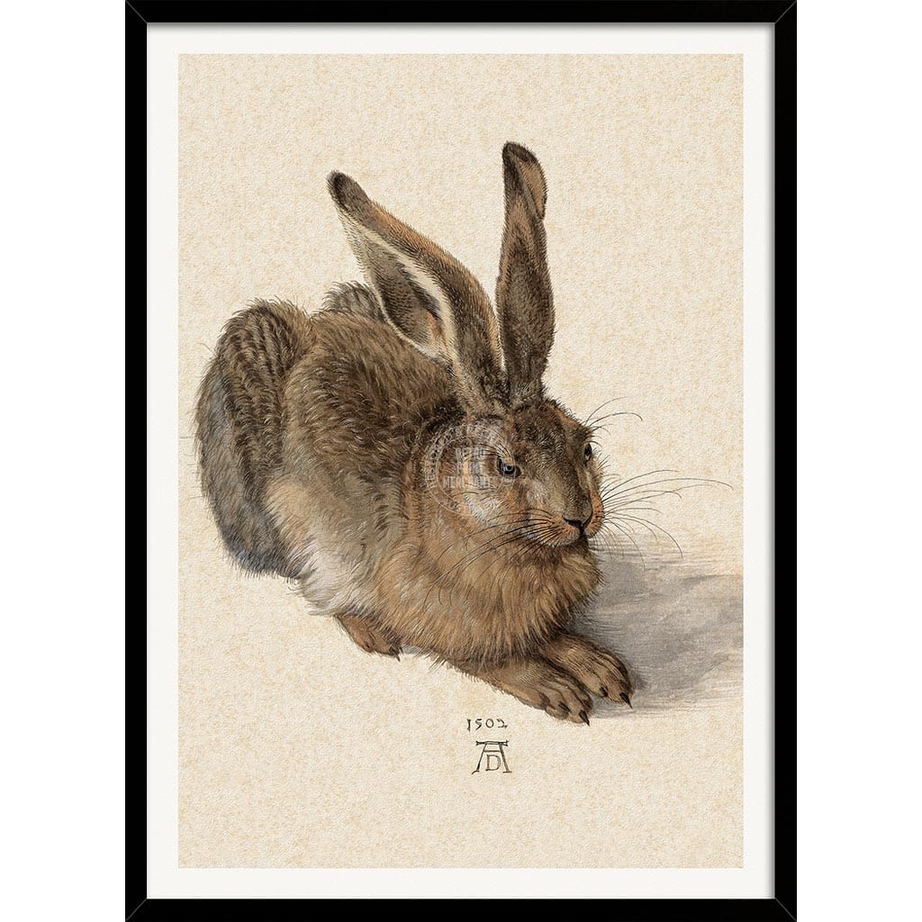 FIELD HARE | GERMANY A3 | 297 x 420mm | 11.7 x 16.5 inches / Framed Print: Black Timber Print Art