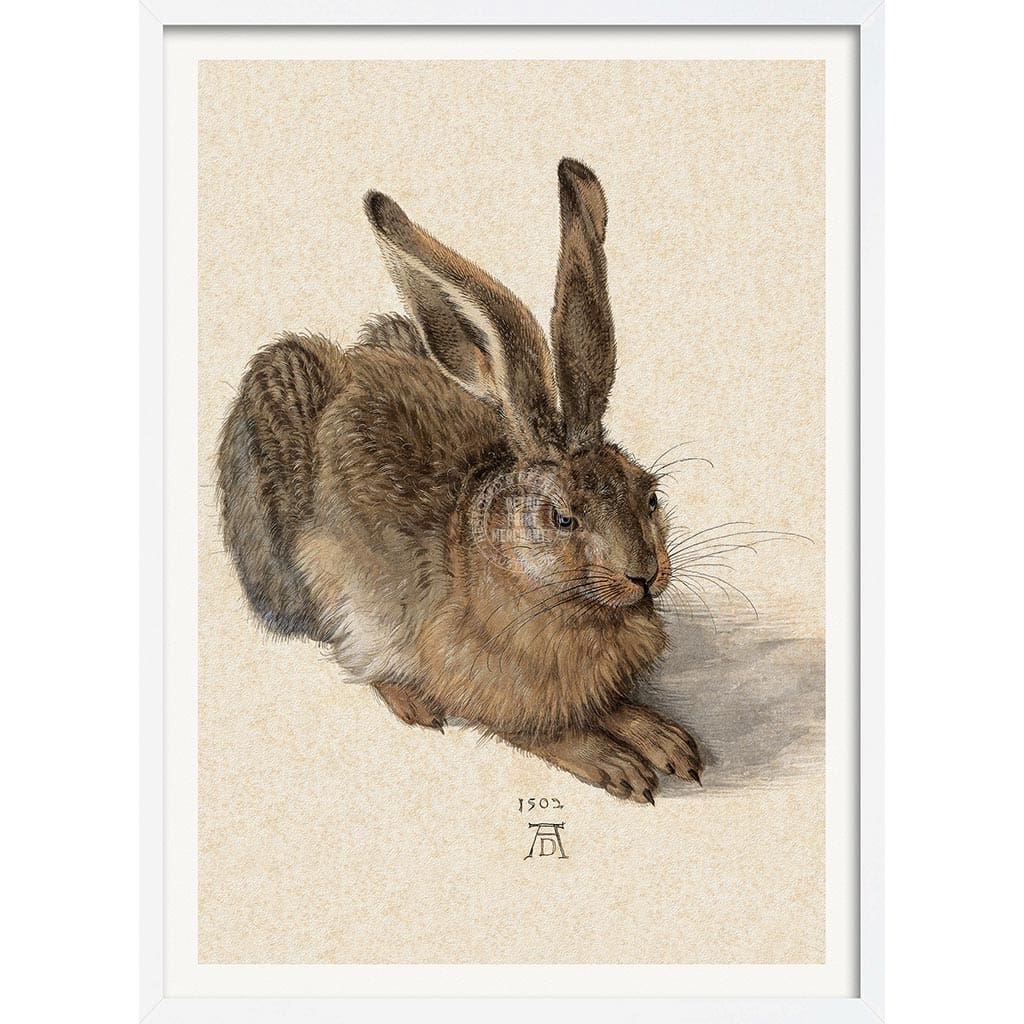 FIELD HARE | GERMANY A3 | 297 x 420mm | 11.7 x 16.5 inches / Framed Print: White Timber Print Art