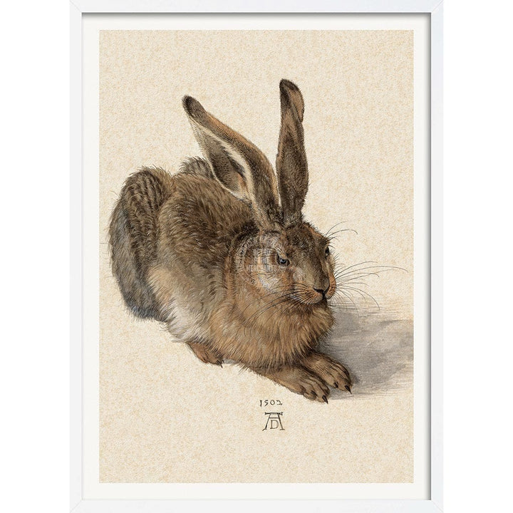 FIELD HARE | GERMANY A3 | 297 x 420mm | 11.7 x 16.5 inches / Framed Print: White Timber Print Art