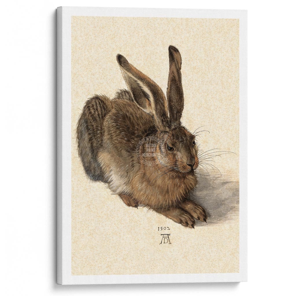 FIELD HARE | GERMANY A3 | 297 x 420mm | 11.7 x 16.5 inches / Stretched Canvas Print Art