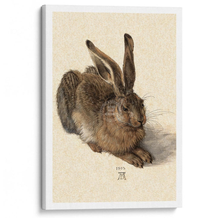FIELD HARE | GERMANY A3 | 297 x 420mm | 11.7 x 16.5 inches / Stretched Canvas Print Art