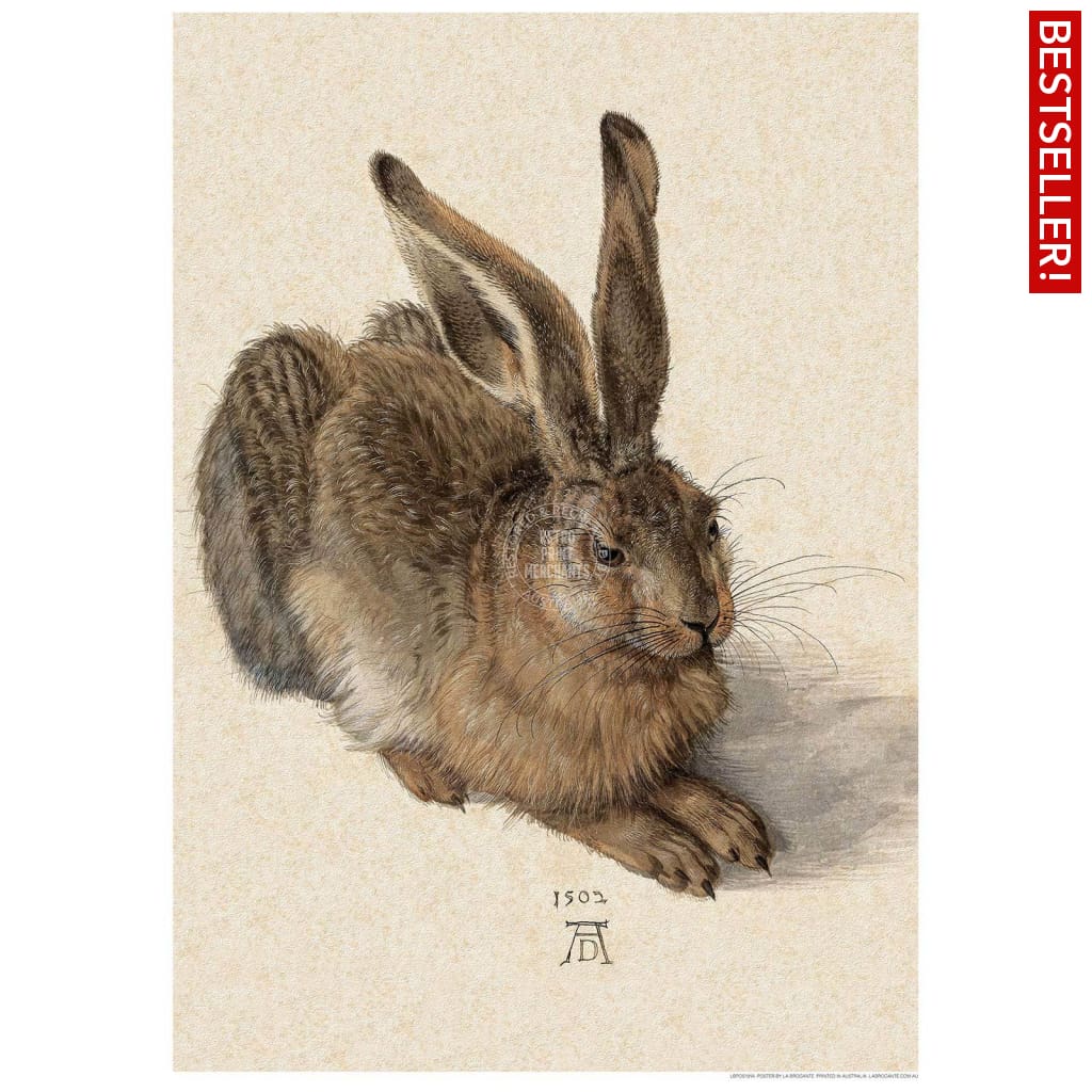 Field Hare | Germany 422Mm X 295Mm 16.6 11.6 A3 / Unframed Print Art
