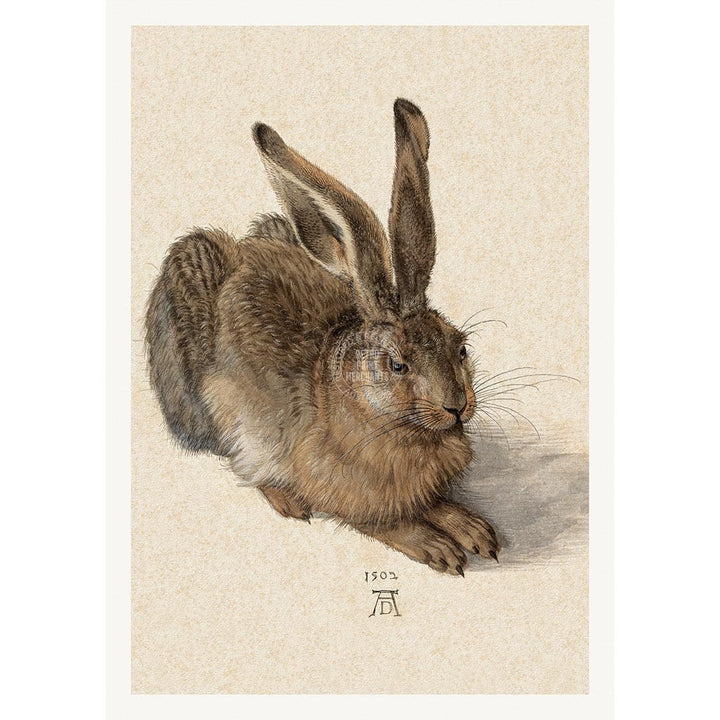 FIELD HARE | GERMANY Print Art