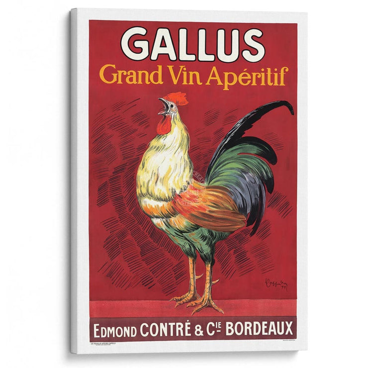 Gallus Aperitif 1919 | France A3 297 X 420Mm 11.7 16.5 Inches / Stretched Canvas Print Art