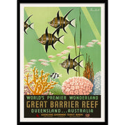Great Barrier Reef | Australia 422Mm X 295Mm 16.6 11.6 A3 / Black Print Art