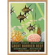 Great Barrier Reef | Australia 422Mm X 295Mm 16.6 11.6 A3 / Natural Oak Print Art