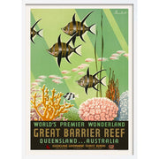 Great Barrier Reef | Australia 422Mm X 295Mm 16.6 11.6 A3 / White Print Art