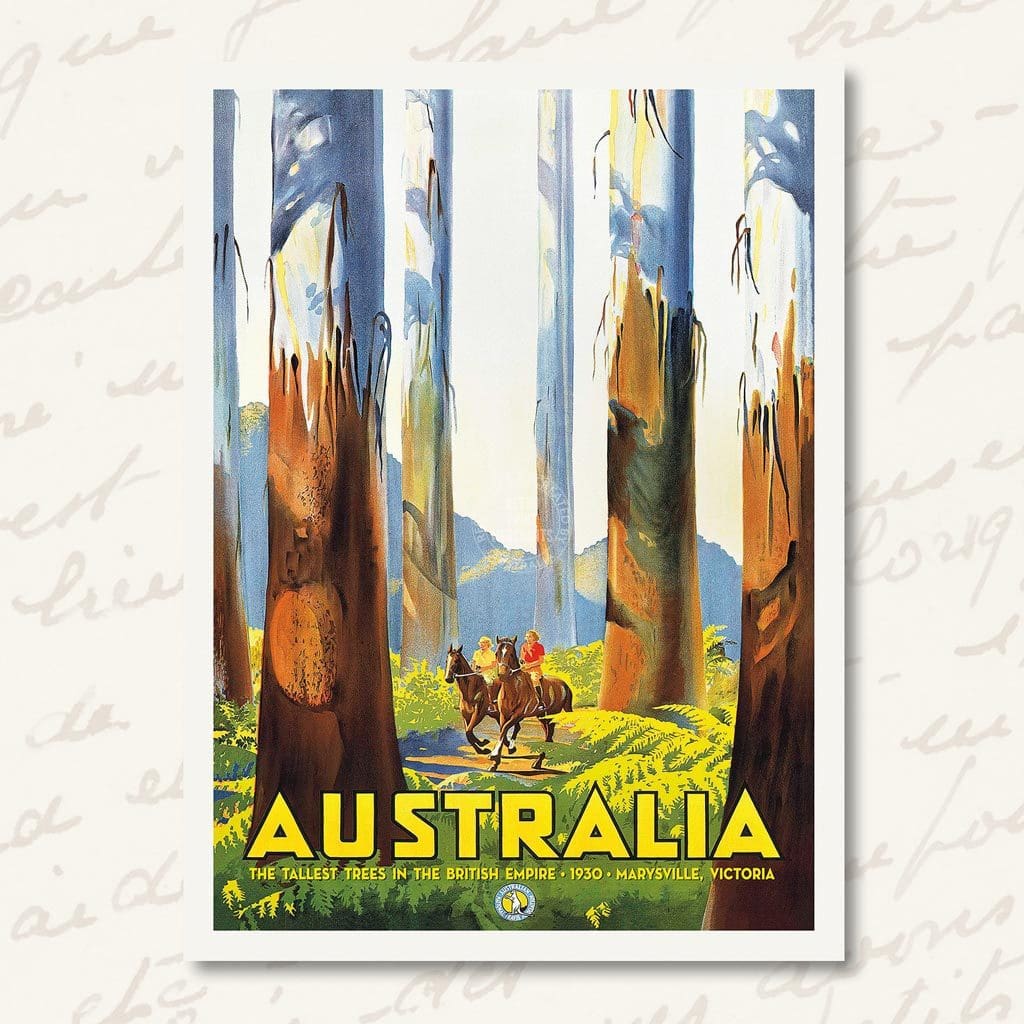 Greeting Card | Australian Bush Greeting Cards