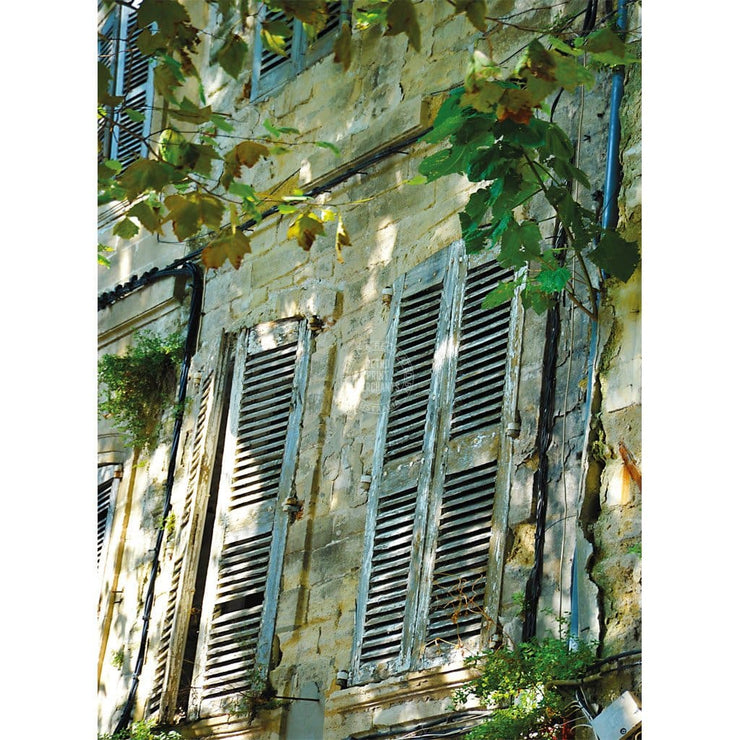 Greeting Card | Avignon Shutters Greeting Cards
