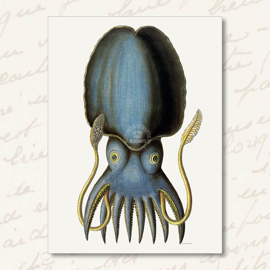 Greeting Card | Blue Octopus Greeting Cards