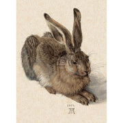 Greeting Card | Field Hare Greeting Cards