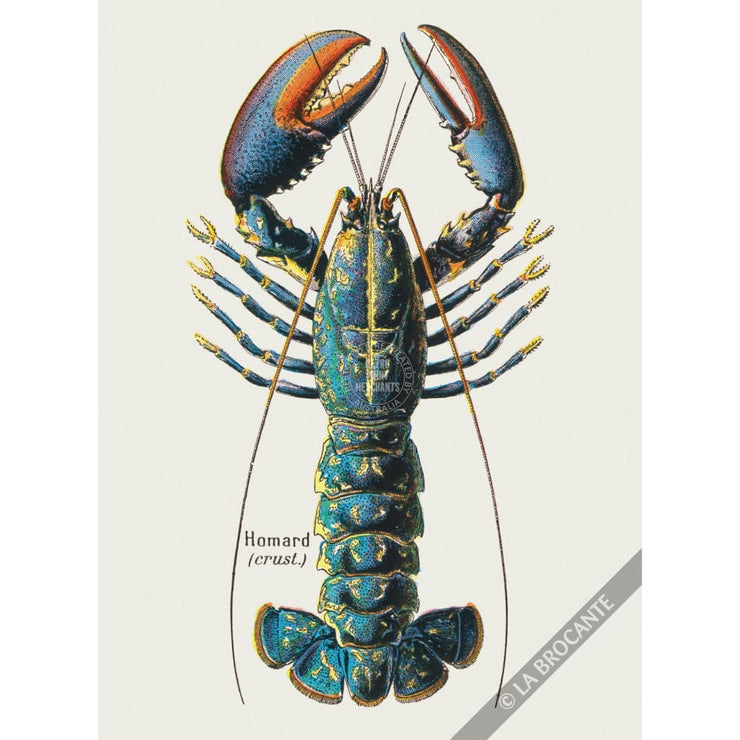 Greeting Card | French Lobster Greeting Cards