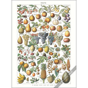 Greeting Card | Fruits Greeting Cards