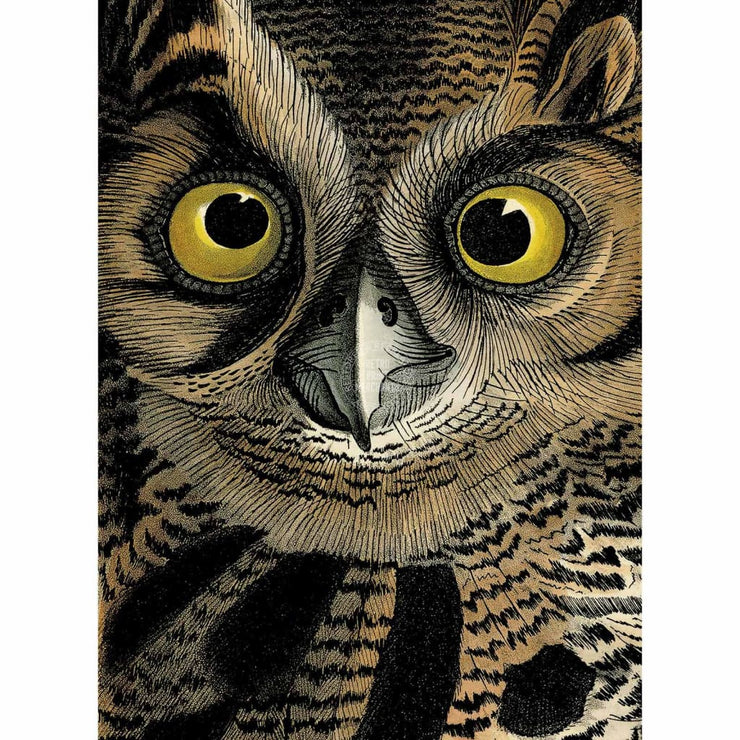 Greeting Card | Horned Owl Greeting Cards