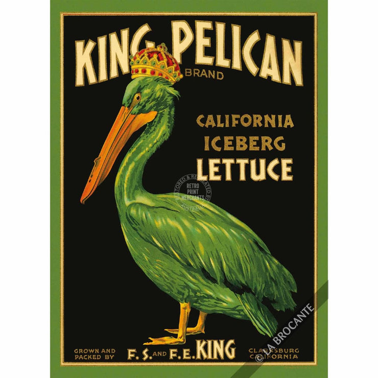 Greeting Card | King Pelican Greeting Cards
