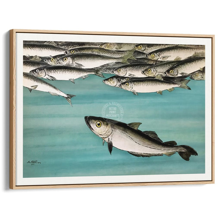 Herrings 1931 | Sweden A3 297 X 420Mm 11.7 16.5 Inches / Canvas Floating Frame - Natural Oak Timber