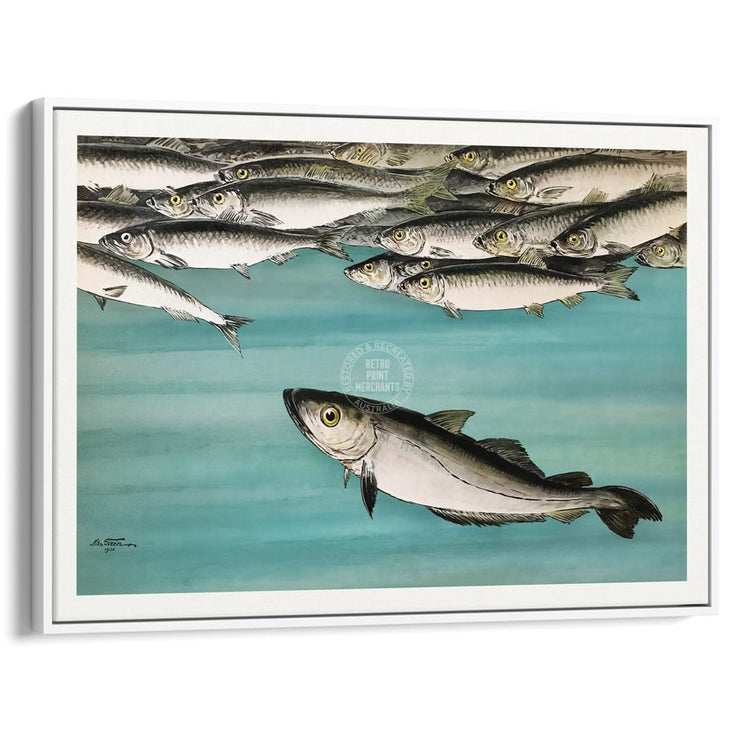 Herrings 1931 | Sweden A3 297 X 420Mm 11.7 16.5 Inches / Canvas Floating Frame - White Timber Print