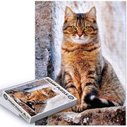 Jigsaw Puzzle | French Cats Do Get Fat Jigsaw Puzzle