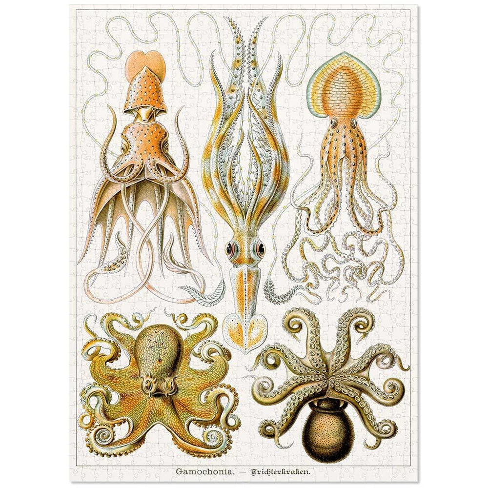 Jigsaw Puzzle | Octopus Gamochonia Jigsaw Puzzle