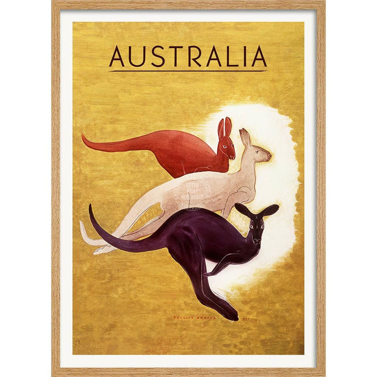 Kangaroos 1940 | Australia A3 297 X 420Mm 11.7 16.5 Inches / Framed Print - Natural Oak Timber Art