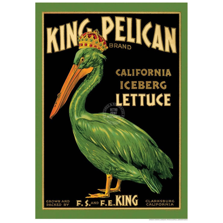 King Pelican | Usa 422Mm X 295Mm 16.6 11.6 A3 / Unframed Print Art