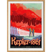 Nasa Kepler-186F | Usa 422Mm X 295Mm 16.6 11.6 A3 / Natural Oak Print Art