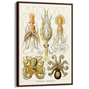 Octopus - Gamochonia | Germany A3 297 X 420Mm 11.7 16.5 Inches / Canvas Floating Frame Dark Oak