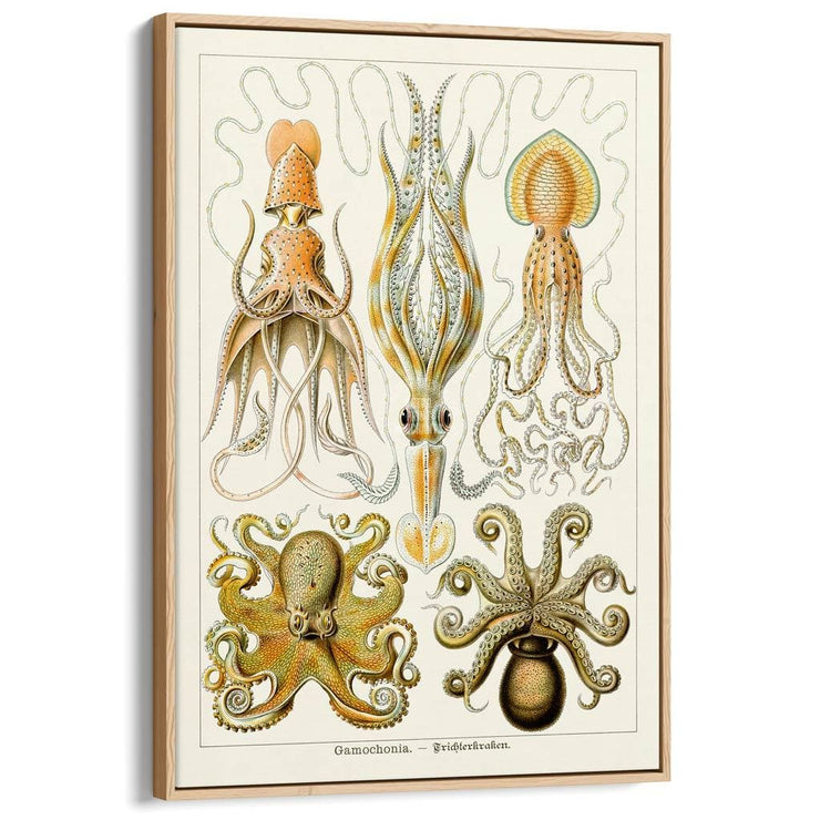 Octopus - Gamochonia | Germany A3 297 X 420Mm 11.7 16.5 Inches / Canvas Floating Frame Natural Oak