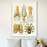 Octopus - Gamochonia | Germany Print Art