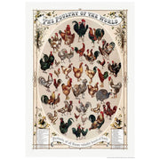 Poultry Of The World | Usa 422Mm X 295Mm 16.6 11.6 A3 / Unframed Print Art