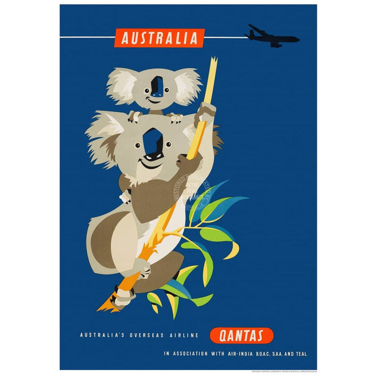 Qantas Koalas | Australia 422Mm X 295Mm 16.6 11.6 A3 / Unframed Print Art