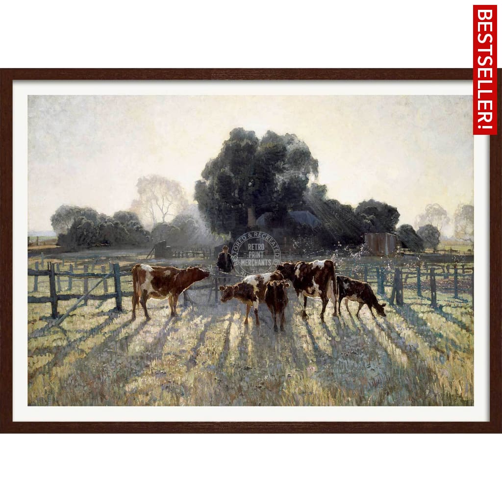 Spring Frost | Australia 422Mm X 295Mm 16.6 11.6 A3 / Dark Oak Print Art