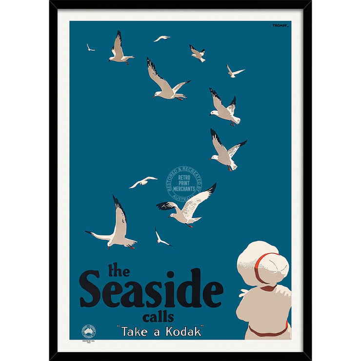 The Seaside Gulls | Australia A3 297 X 420Mm 11.7 16.5 Inches / Framed Print - Black Timber Art