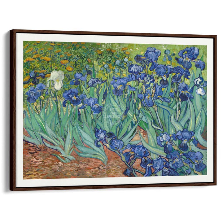 Van Gogh Irises | France A3 297 X 420Mm 11.7 16.5 Inches / Canvas Floating Frame - Dark Oak Timber