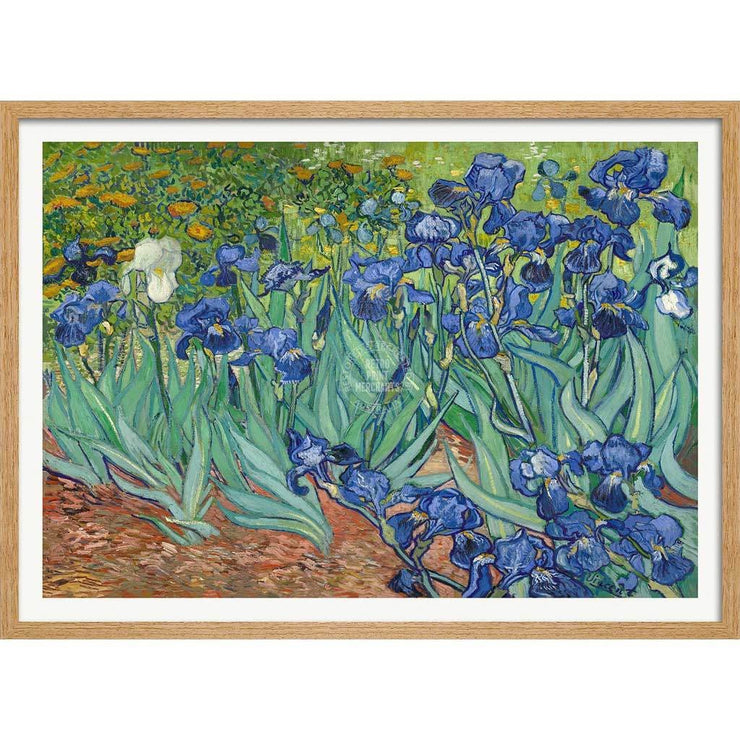 Van Gogh Irises | France A3 297 X 420Mm 11.7 16.5 Inches / Framed Print - Natural Oak Timber Art