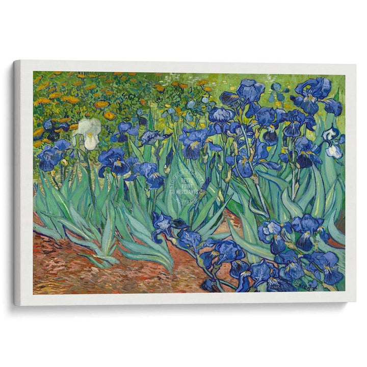 Van Gogh Irises | France A3 297 X 420Mm 11.7 16.5 Inches / Stretched Canvas Print Art