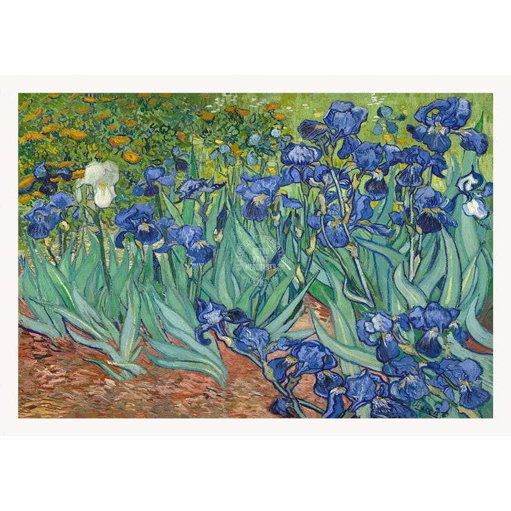 Van Gogh Irises | France A3 297 X 420Mm 11.7 16.5 Inches / Unframed Print Art
