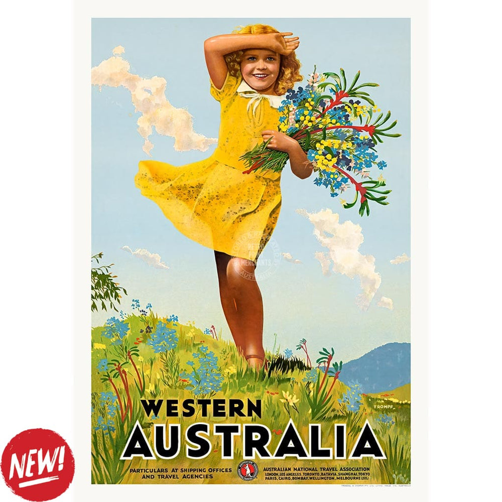 Western Australia Wildflowers | A3 297 X 420Mm 11.7 16.5 Inches / Unframed Print Art